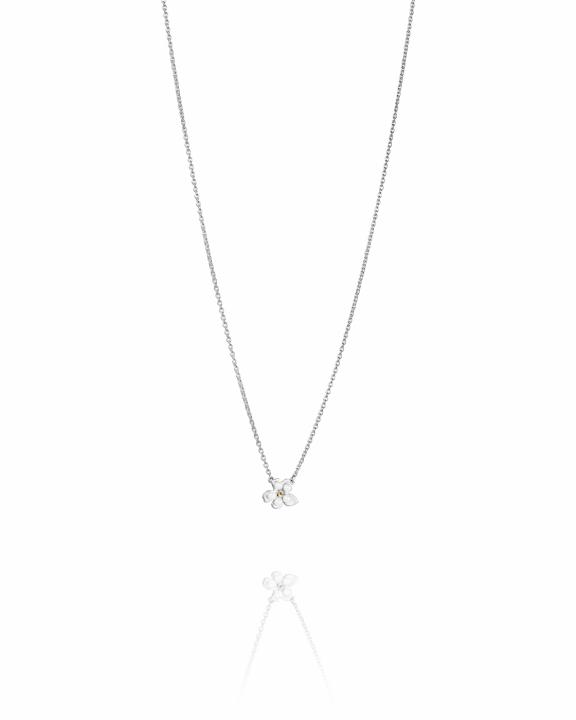 Forget-me-not Necklace Silver in de groep Kettingen / Zilveren kettingen bij SCANDINAVIAN JEWELRY DESIGN (10-100-02345-4045)