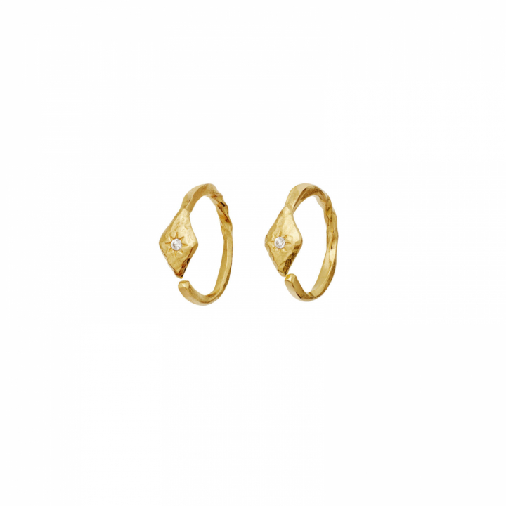 Forte Earrings Gold in de groep Oorbellen / Gouden oorbellen bij SCANDINAVIAN JEWELRY DESIGN (10021A)