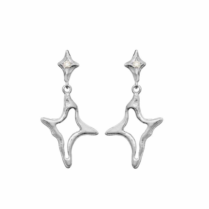 Roxy Earrings Silver in de groep Oorbellen / Zilveren oorbellen bij SCANDINAVIAN JEWELRY DESIGN (10031C)