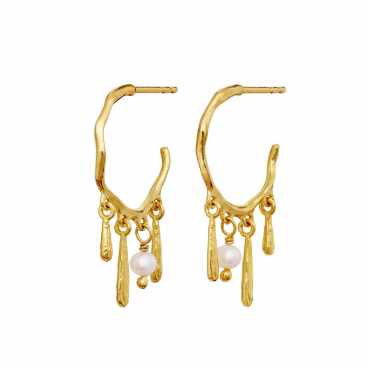 Fricka Earrings Gold in de groep Oorbellen / Pareloorbellen bij SCANDINAVIAN JEWELRY DESIGN (10032A)