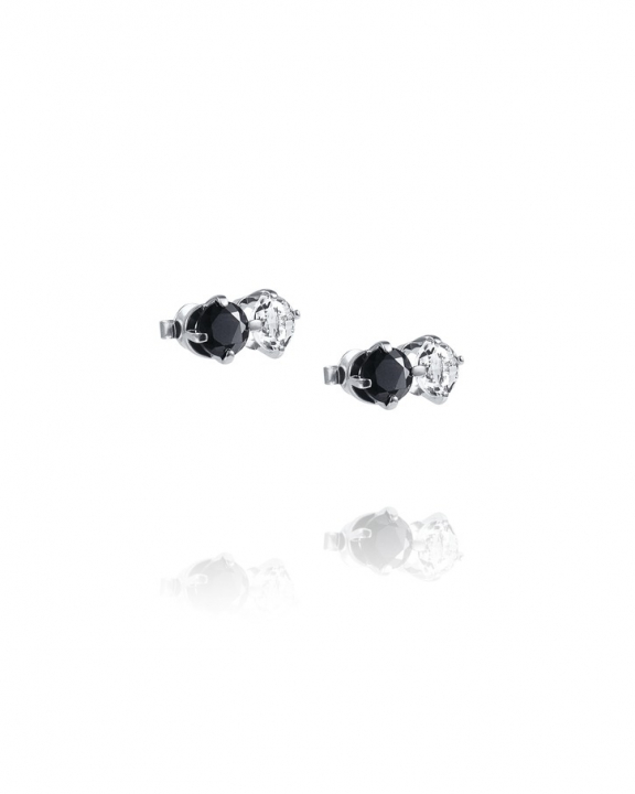 Product Image for Efva Attling The Storm & I Oorbel Zilver Crystal Quartz/Onyx