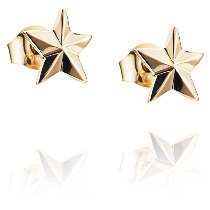 Catch A Falling Star Oorbel goud in de groep Oorbellen / Gouden oorbellen bij SCANDINAVIAN JEWELRY DESIGN (12-101-00882-0000)