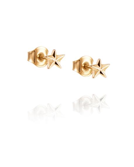 Micro catch a falling star stud gold in de groep Oorbellen / Gouden oorbellen bij SCANDINAVIAN JEWELRY DESIGN (12-101-02259-0000)