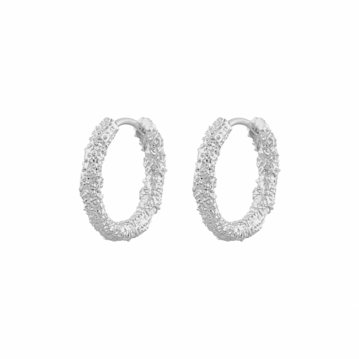 Product Image for SNÃ OF SWEDEN Core london ring Oorbel Zilver