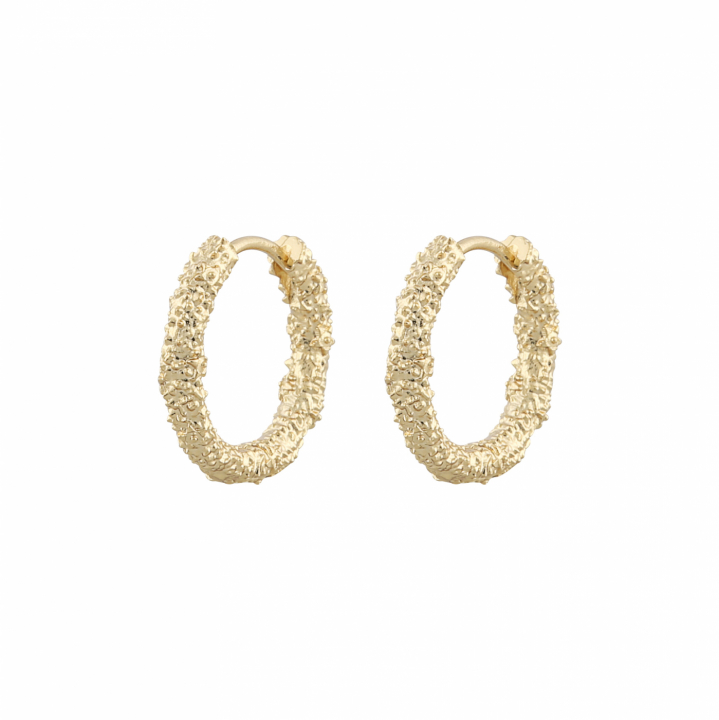 Product Image for SNÃ OF SWEDEN Core london ring Oorbel Goud