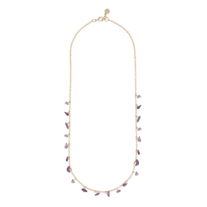 Capri stone charm neck gold purple 45 cm in de groep Kettingen / Gouden kettingen bij SCANDINAVIAN JEWELRY DESIGN (1274-0245-356-45)