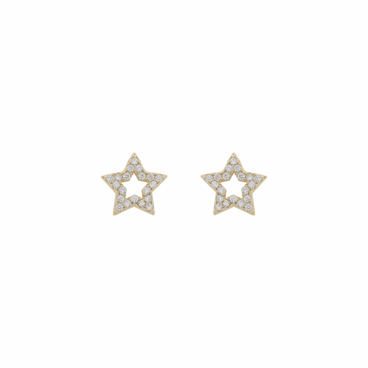 Product Image for SNÃ OF SWEDEN Wish small star ear Gold/clear-Onesize