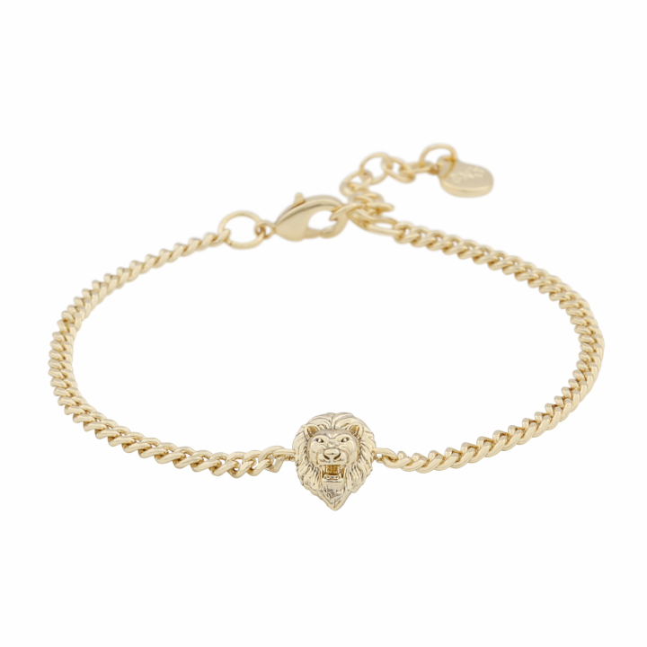 Oz lion chain brace plain Gold-Onesize in de groep Armbanden / Gouden armbanden bij SCANDINAVIAN JEWELRY DESIGN (1286-3400-257-ONE)