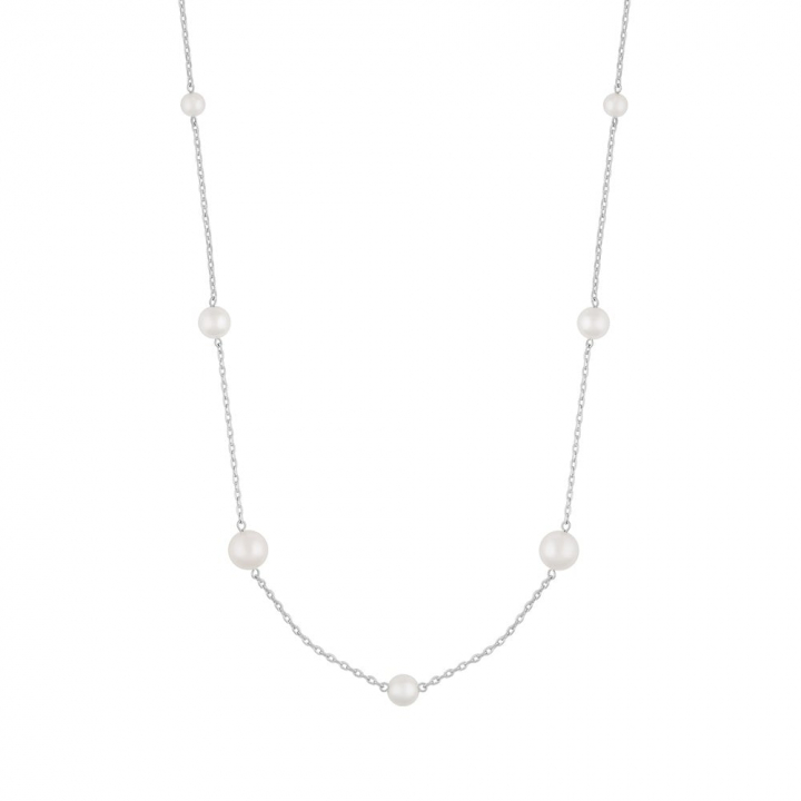 Lydia pearl chain neck 80 in de groep Kettingen / Zilveren kettingen bij SCANDINAVIAN JEWELRY DESIGN (1292-0380-010-80)