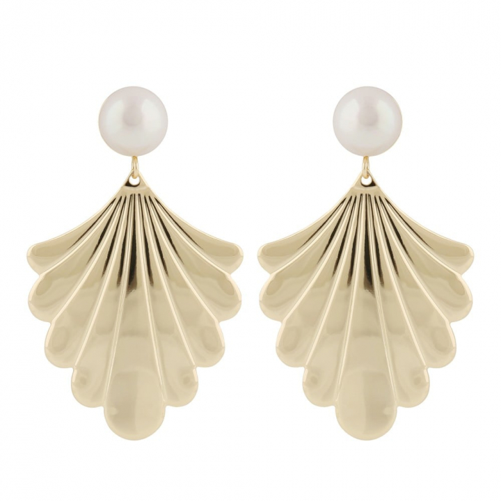 Lydia big pearl pendant ear in de groep Oorbellen / Pareloorbellen bij SCANDINAVIAN JEWELRY DESIGN (1292-7600362)