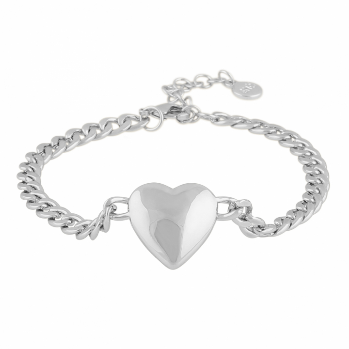 Product Image for SNÃ OF SWEDEN Brooklyn big heart chain brace Zilver
