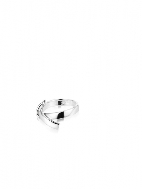 Friendship Ring Zilver in de groep Ringen / Zilveren ringen bij SCANDINAVIAN JEWELRY DESIGN (13-100-01945)