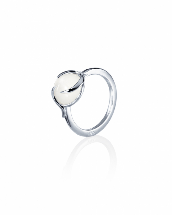 Frö Ring Silver in de groep Ringen / Zilveren ringen bij SCANDINAVIAN JEWELRY DESIGN (13-100-02342)