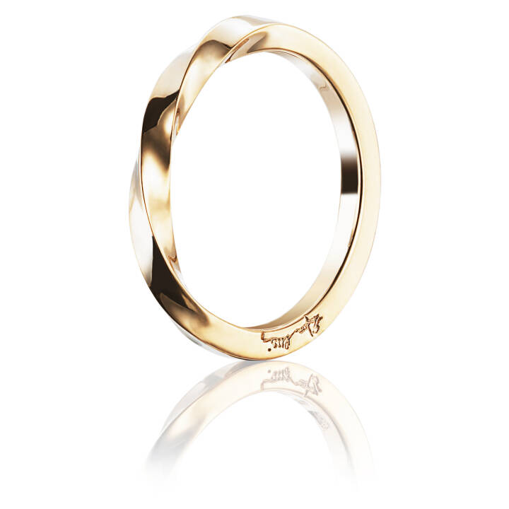 Viking Plain Ring goud in de groep Ringen / Gouden ringen bij SCANDINAVIAN JEWELRY DESIGN (13-101-00978)