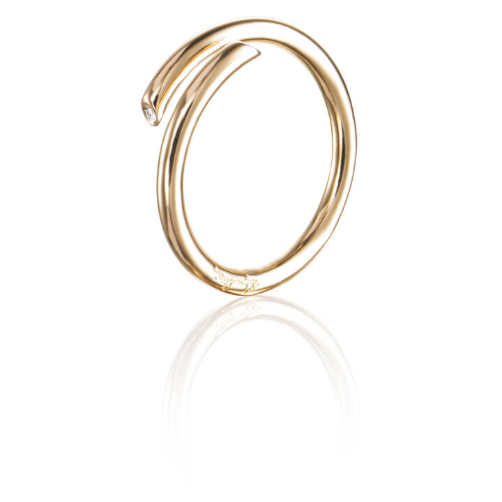 Hug Ring goud in de groep Ringen / Gouden ringen bij SCANDINAVIAN JEWELRY DESIGN (13-101-01613)