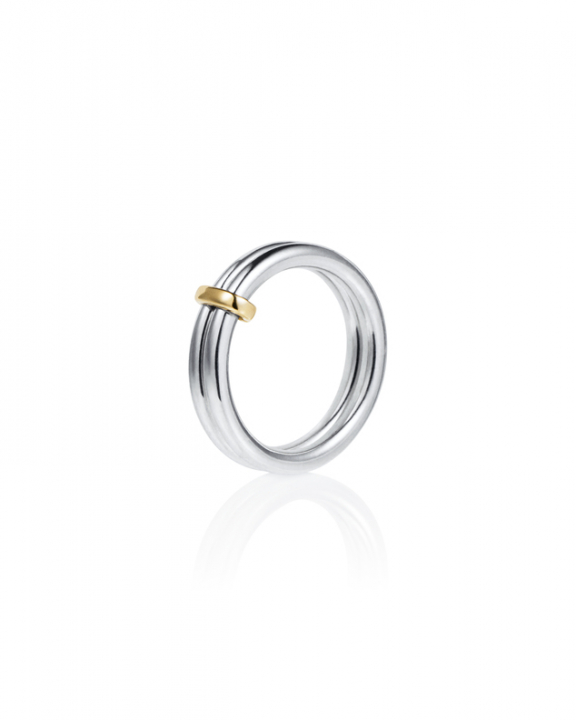 Product Image for Efva Attling Divorced With Children Thin Ring Zilver 18.00