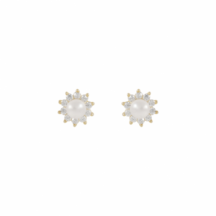 Line pearl Earrings Gold in de groep Oorbellen / Pareloorbellen bij SCANDINAVIAN JEWELRY DESIGN (1360-6600-362)