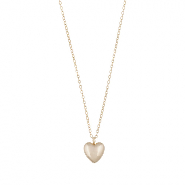Lovely heart pendant neck gold 42 in de groep Kettingen / Gouden kettingen bij SCANDINAVIAN JEWELRY DESIGN (1363-0442-257)