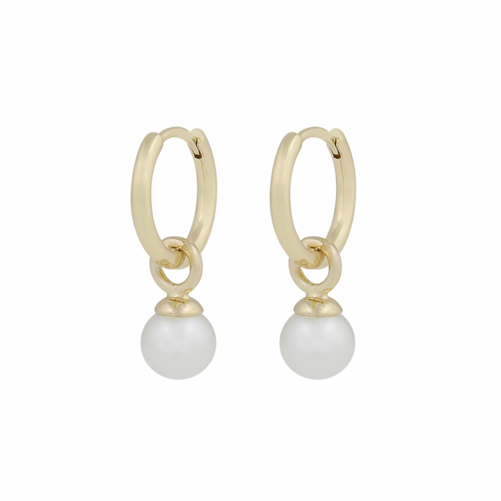 Karan small pendant ring Earrings Gold in de groep Oorbellen / Pareloorbellen bij SCANDINAVIAN JEWELRY DESIGN (1399-6100-362)