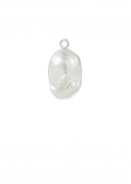 Product Image for Efva Attling Nature's Uniqe Charm (1) Berlock Zilver