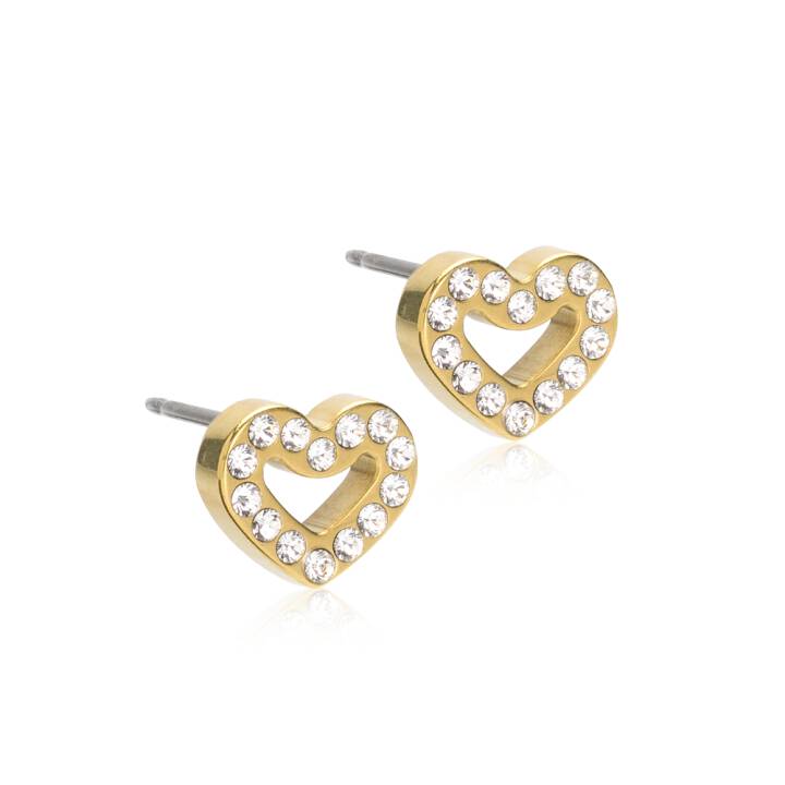 GT Brilliance Heart Hollow 8 mm, Crystal in de groep Oorbellen bij SCANDINAVIAN JEWELRY DESIGN (15-13121-01)