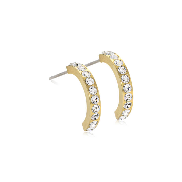  in de groep Oorbellen bij SCANDINAVIAN JEWELRY DESIGN (15-13147-01)