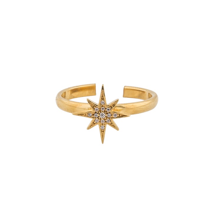 One star ring goud in de groep Ringen / Gouden ringen bij SCANDINAVIAN JEWELRY DESIGN (1631521001)