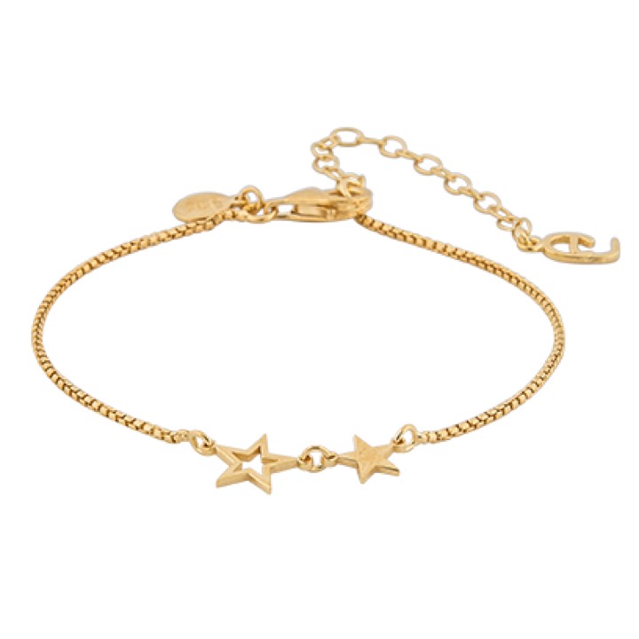 Double star brace Armbanden goud in de groep Armbanden / Gouden armbanden bij SCANDINAVIAN JEWELRY DESIGN (1716321001)
