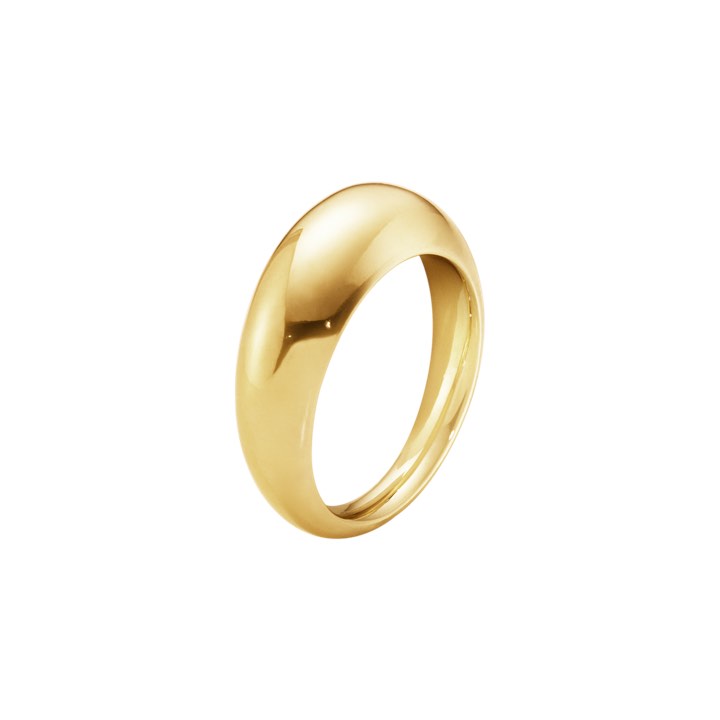 CURVE SLIM Ring goud in de groep Ringen / Gouden ringen bij SCANDINAVIAN JEWELRY DESIGN (20000024)