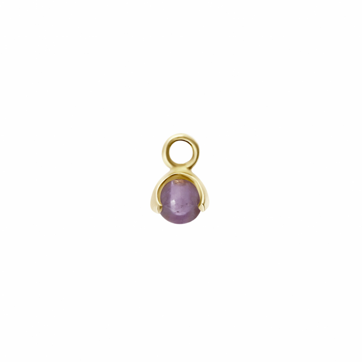 Letters stone 2 amethyst pend Goud in de groep Kettingen / Gouden kettingen bij SCANDINAVIAN JEWELRY DESIGN (2227622001)