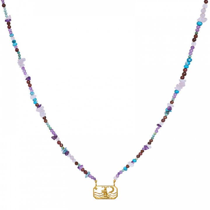 Product Image for Maanesten Zodiac Earth Capricorn Kettingen (Goud)