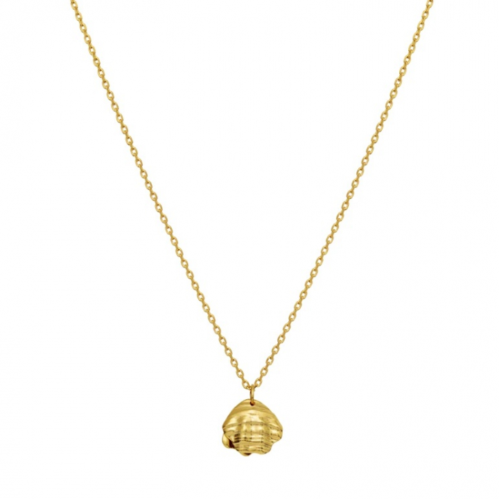 MARNIE Necklace Gold in de groep Kettingen / Gouden kettingen bij SCANDINAVIAN JEWELRY DESIGN (2693A)