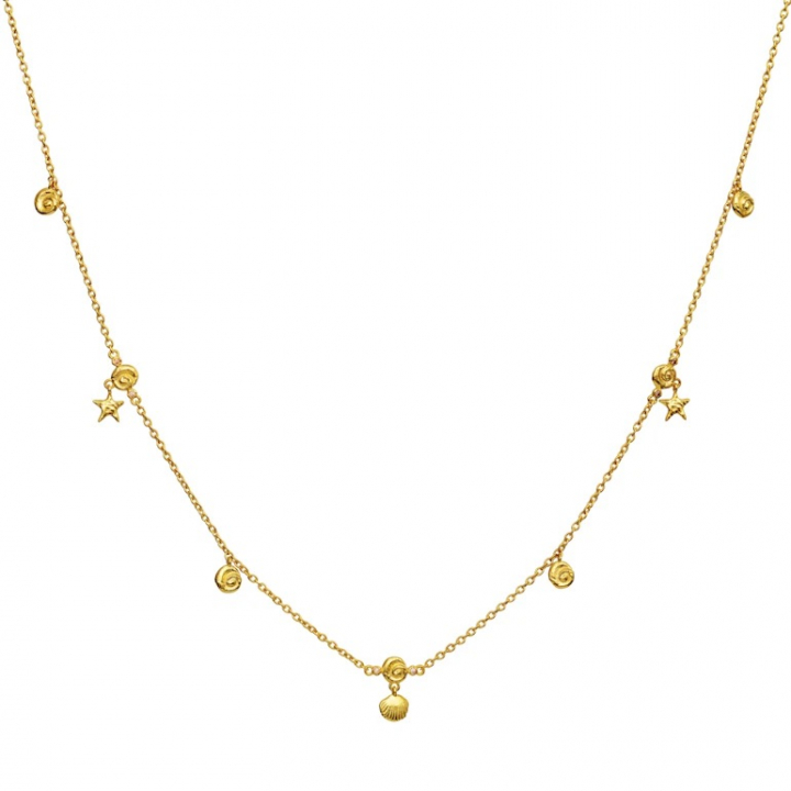 LEILANI Necklace Gold in de groep Kettingen / Gouden kettingen bij SCANDINAVIAN JEWELRY DESIGN (2696A)