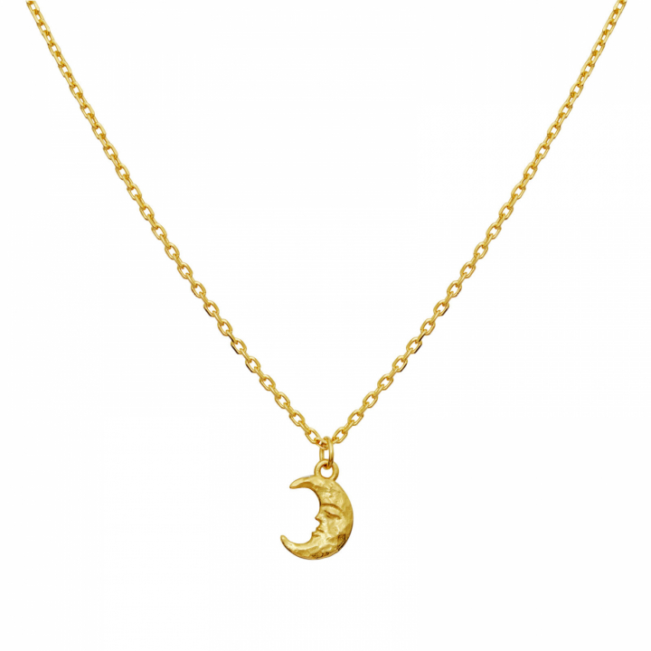 Aila Necklace Gold in de groep Kettingen / Gouden kettingen bij SCANDINAVIAN JEWELRY DESIGN (2805A)