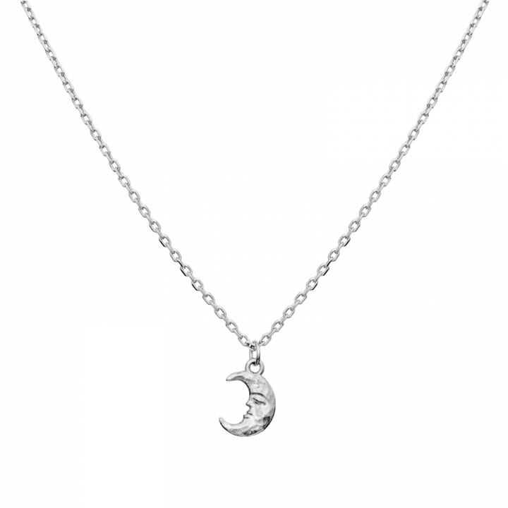 Aila Necklace Silver in de groep Kettingen / Zilveren kettingen bij SCANDINAVIAN JEWELRY DESIGN (2805C)