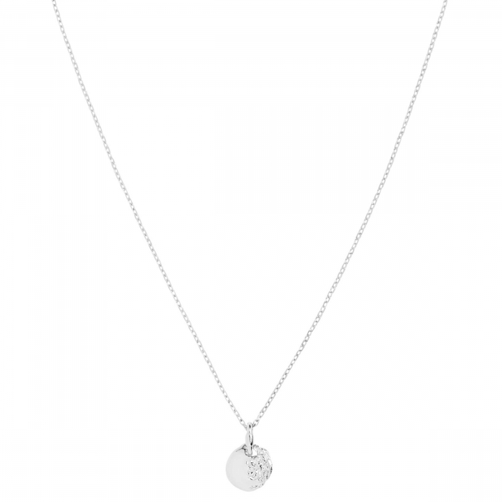 Aspen 50 Necklace Silver (One) in de groep Kettingen / Zilveren kettingen bij SCANDINAVIAN JEWELRY DESIGN (300460AG-50)