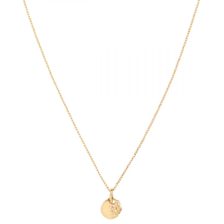Aspen 50 Necklace Goldplated Silver (One) in de groep Kettingen / Gouden kettingen bij SCANDINAVIAN JEWELRY DESIGN (300460YG-50)