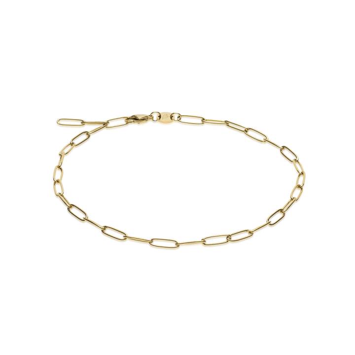G Link 22-27 cm in de groep Accessoires / Anklet bij SCANDINAVIAN JEWELRY DESIGN (34-23950-00)