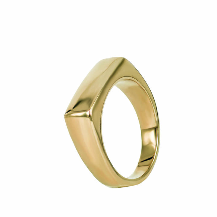 NOUR Goud ring in de groep Ringen bij SCANDINAVIAN JEWELRY DESIGN (359242V)