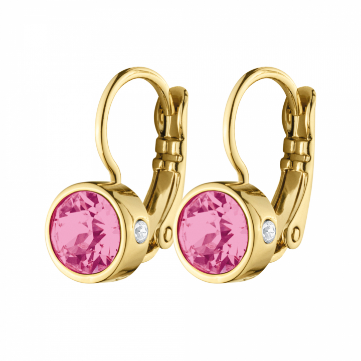 Product Image for DYRBERG/KERN RIVOLI Zilver CRYSTAL Oorbel