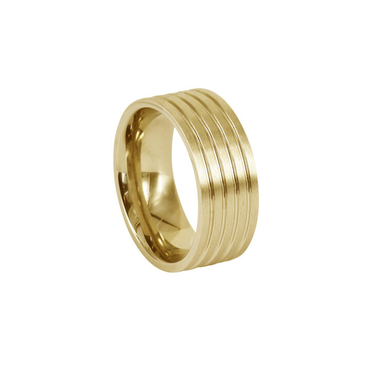 DAVE Goud ring in de groep Ringen bij SCANDINAVIAN JEWELRY DESIGN (366080V)
