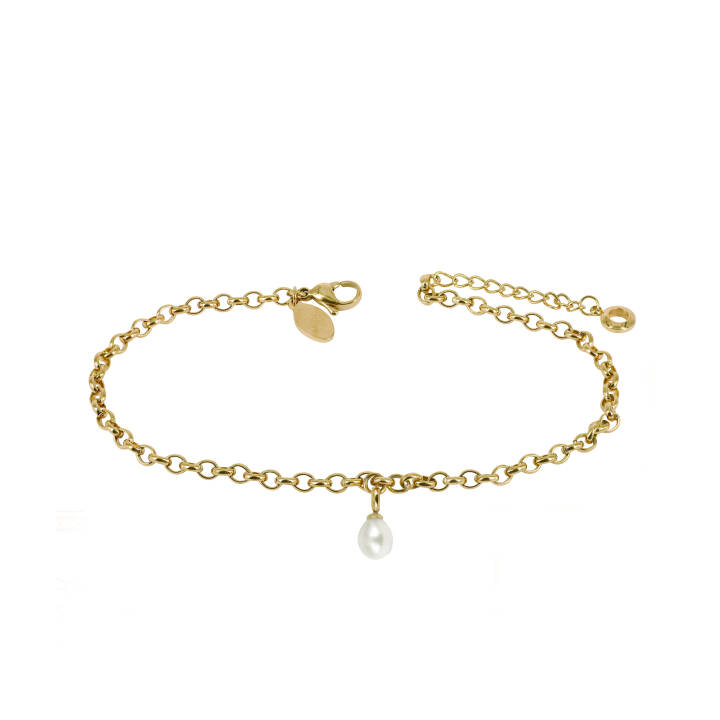 PALMA Single ANKLET Armbanden Goud in de groep Accessoires / Anklet bij SCANDINAVIAN JEWELRY DESIGN (370445)