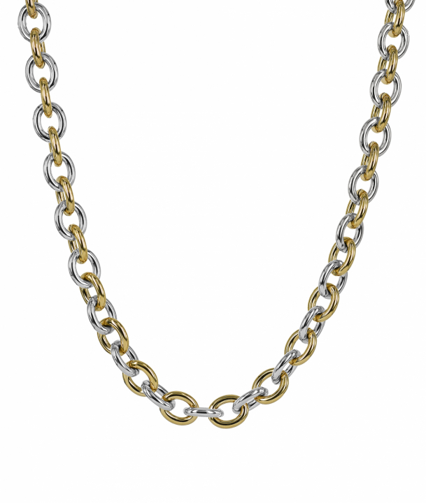 Product Image for astrid&agnes RUBY Kettingen StÃ¥l/Goud