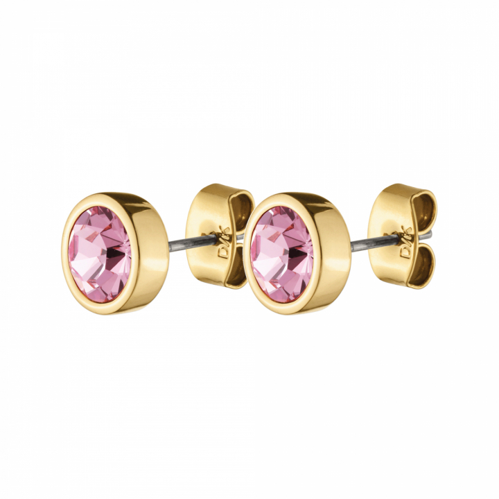 Product Image for DYRBERG/KERN NOBLE Zilver LIGHT ROSE Oorbel