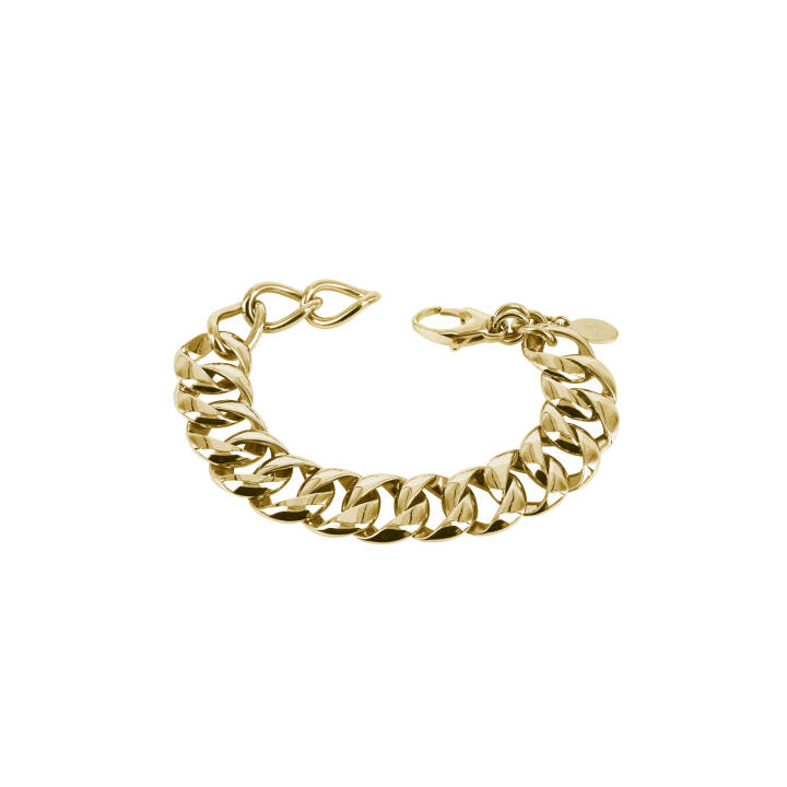ASTRID Armbanden Goud in de groep Armbanden / Gouden armbanden bij SCANDINAVIAN JEWELRY DESIGN (400685)
