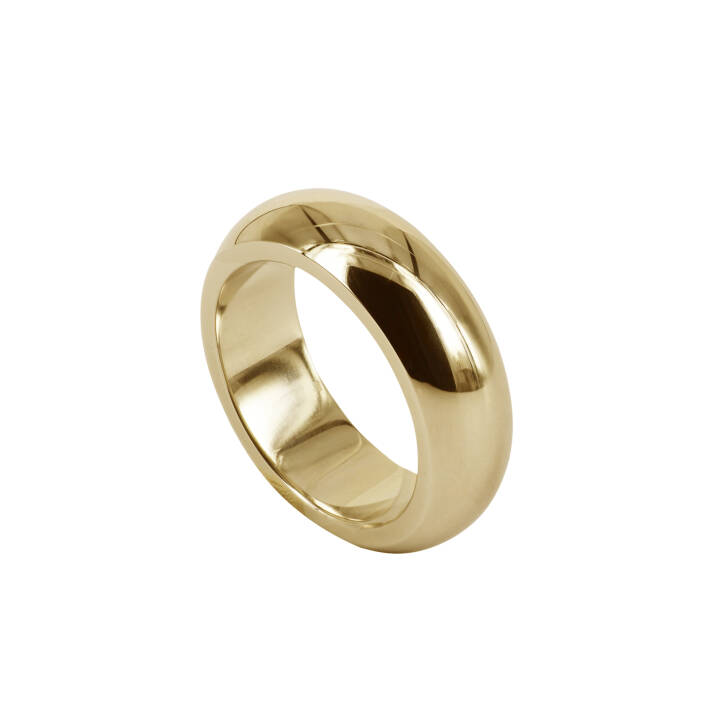 SIA Goud ring in de groep Ringen bij SCANDINAVIAN JEWELRY DESIGN (400722V)
