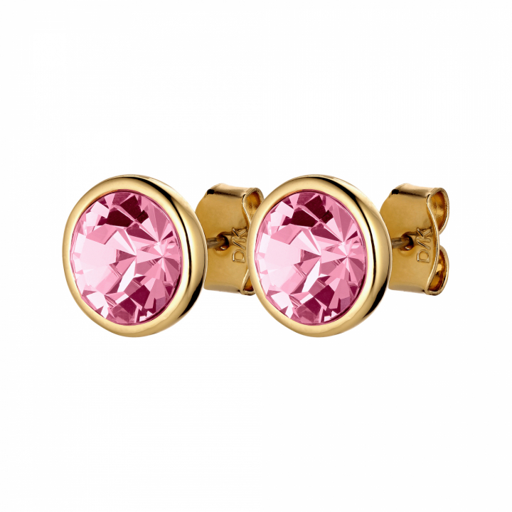 DIA Oorbel in de groep Oorbellen / Gouden oorbellen bij SCANDINAVIAN JEWELRY DESIGN (420000)