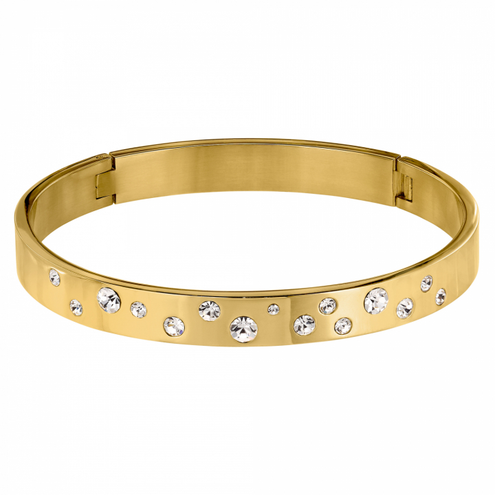 Product Image for DYRBERG/KERN CLARE I Goud CRYSTAL