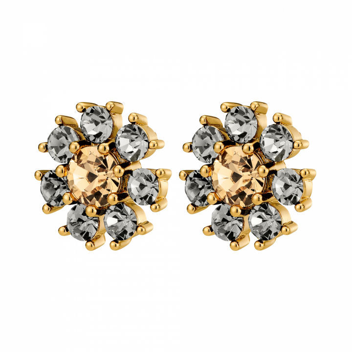 AUDE SG GREY /GOLDEN Earrings Gold in de groep Oorbellen / Gouden oorbellen bij SCANDINAVIAN JEWELRY DESIGN (450097)