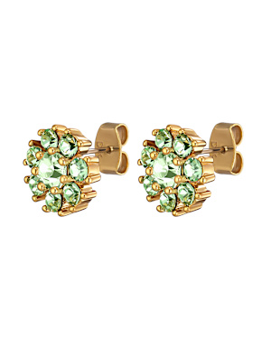 Product Image for DYRBERG/KERN CARNEA SG LIGHT GREEN / CRYSTAL Earrings